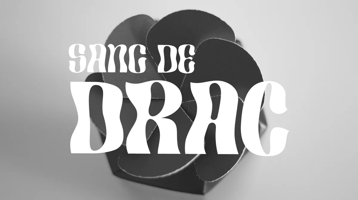 Sang de drac — Branding & packaging