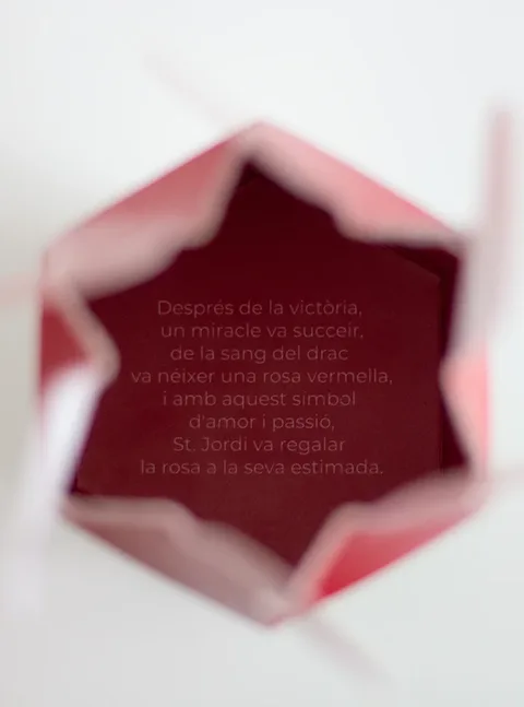 Sang de drac branding & packaging by Xevi Machado — wine, Catalonia (04)